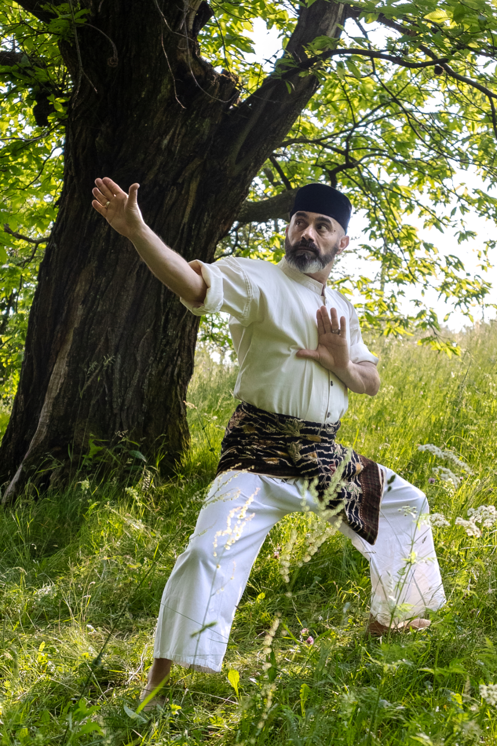 Max Morandini - Pencak Silat - Image 2