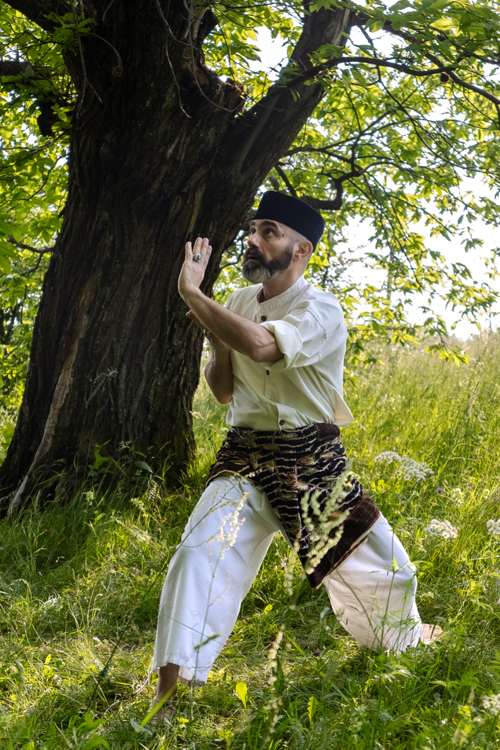 Max Morandini - Pencak Silat - Image 5